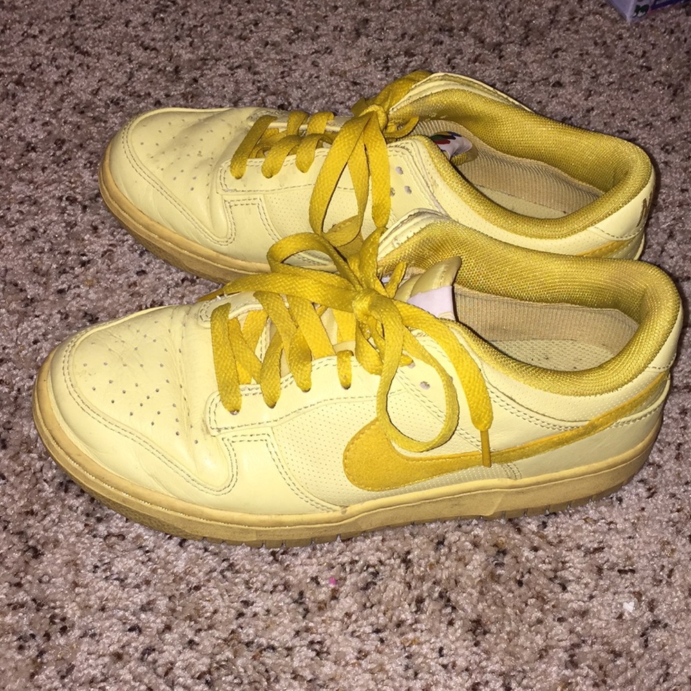 Nike Zoom RARE 2008 Dunk Low Premium Olympic